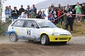 Rallye de la Plaine 2012
